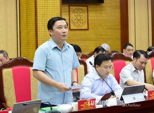 Giám đốc Sở Công thương Hoàng Anh Cương phát biểu thảo luận tại hội nghị.