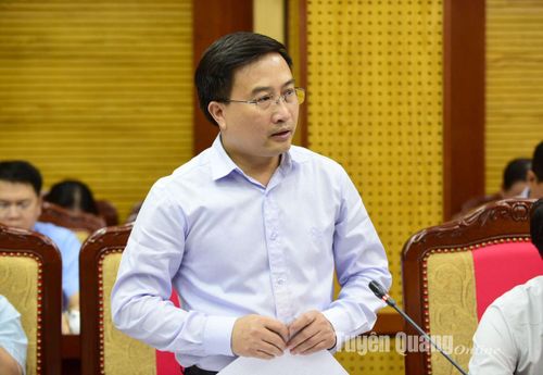 Giám đốc Sở Tài nguyên và Môi trường Phạm Mạnh Duyệt phát biểu thảo luận tại hội nghị.