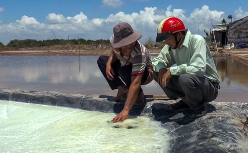 Ông Trần Minh Lợi (bìa trái), ấp Lưu Hoa Thanh, xã Tân Thuận, kiểm tra mô hình muối trải bạt vừa được đầu tư của gia đình.