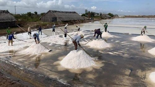 Muối rớt giá, diêm dân gần như không có lãi.