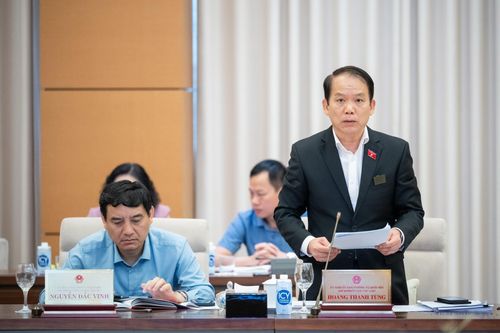 Chủ nhiệm Ủy ban Pháp luật của Quốc hội Hoàng Thanh Tùng.