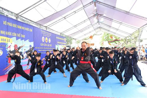 Màn biểu diễn của CLB võ thuật huyện Nho Quan.
