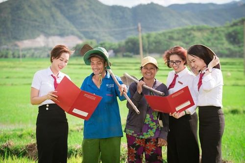 Cơ chế, chính sách tài chính, tín dụng, bảo hiểm góp phần xây dựng nền móng sản xuất bền vững. Ảnh: Thanh Hương/BNEWS/TTXVN