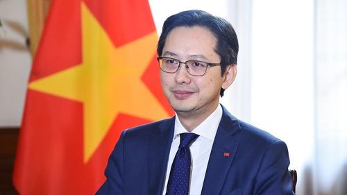 Thứ trưởng Ngoại giao Đỗ Hùng Việt. Ảnh: BNG