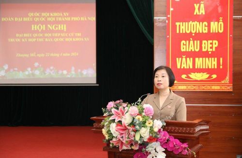 Phó Trưởng đoàn chuyên trách Đoàn đại biểu Quốc hội TP Hà Nội Phạm Thị Thanh Mai phát biểu ý kiến tại hội nghị tiếp xúc cử tri.
