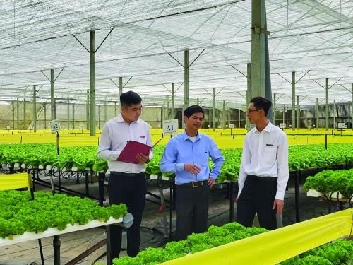 Các ngân hàng có thể linh hoạt và chủ động tư vấn cho doanh nghiệp cách thức để đảm bảo được cấp vốn vay theo hợp đồng, theo doanh thu tương lai. Ảnh: C.T