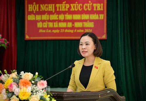 Đồng chí Phó Trưởng đoàn ĐBQH tỉnh Trần Thị Hồng Thanh phát biểu tại buổi tiếp xúc.