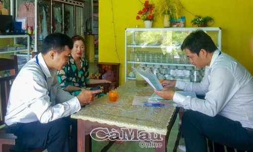 Các điều tra viên thực hiện điều tra, thu thập thông tin tại địa bàn huyện Trần Văn Thời.