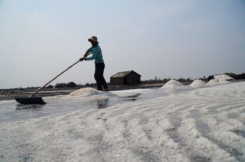Giá muối giàm thê thảm, diêm dân gặp khó