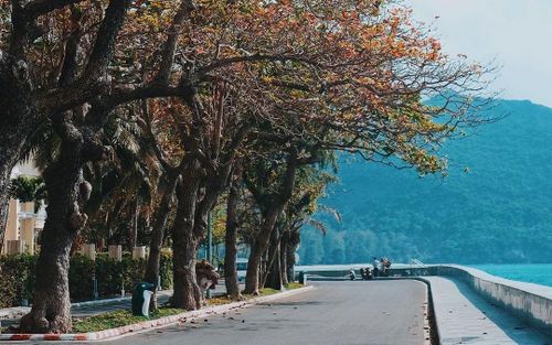 Khu du lịch Côn Đảo. Ảnh: Lê Viết Vinh.