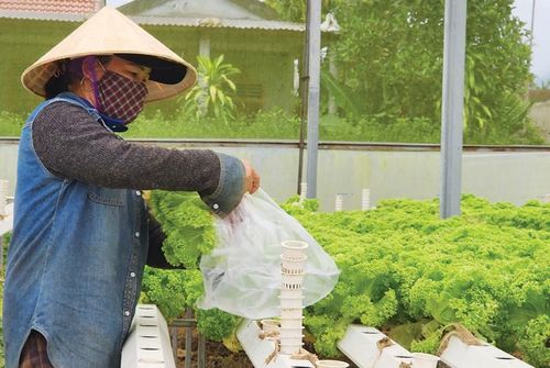  Nông nghiệp, nông thôn là lĩnh vực được ưu tiên trong tiếp cận tín dụng
