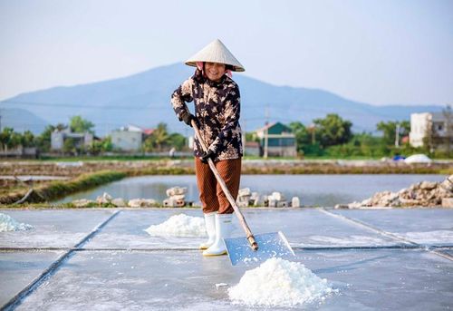 Diêm dân làng Phú Lộc cho biết, năm nay thời tiết nắng nóng nên thuận lợi cho nghề làm muối, rút ngắn thời gian muối kết tinh, chất lượng, sản lượng được nâng cao. Trung bình mỗi ngày cứ 100m2 ruộng sẽ cho thu hoạch trên 1 tạ muối.