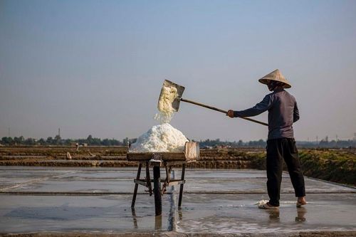 Ghi nhận tại cánh đồng muối làng Phú Lộc, vào đầu giờ chiều, dưới thời tiết nắng nóng gay gắt, hàng trăm diêm dân đã tất bật trên cánh đồng để thu hoạch muối. Ở những vị trí tập kết, vẫn còn hàng trăm tấn muối chất đống vì chưa tiêu thụ được.