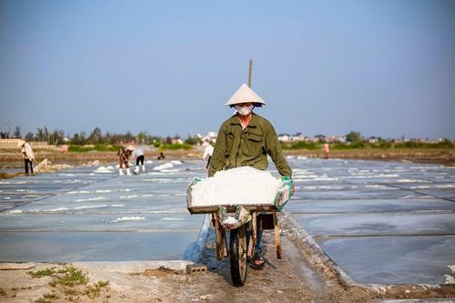 Ông Phạm Thiến (xã Quảng Phú, huyện Quảng Trạch), người có thâm niên với nghề làm muối cho biết, gia đình có thửa ruộng 800m2, từ đầu mùa vụ đến nay đã thu hoạch được trên 8 tạ muối/ngày. Đầu vụ, thương lái tại địa phương và các tỉnh Hà Tĩnh, Nghệ An đến thu mua với giá thành 130 nghìn đồng/kg nhưng giờ chỉ còn 100 nghìn đồng/tạ. Vì giá thành giảm sâu, hiện tại gia đình ông vẫn tích trữ hơn 4 tấn muối trên đồng chờ được giá để bán.