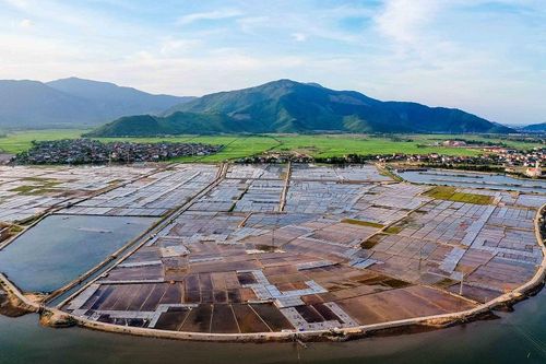 Phó Chủ tịch UBND xã Quảng Phú Tưởng Bá Giai đánh giá, năm nay do khu vực miền Nam nắng nhiều, sản lượng muối tăng cao đã ảnh hưởng đến giá thành muối của địa phương. Hiện, xã đang tích cực hỗ trợ, động viên, tạo điều kiện, mời gọi các doanh nghiệp kinh doanh muối thu mua giúp người dân trên địa bàn.