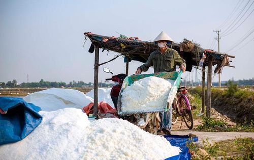 Lau vội khuôn mặt đen sạm đang ướt đẫm mồ hôi giữa cánh đồng muối, ông Nguyễn Văn Hường (xã Quảng Phú, huyện Quảng Trạch) cho biết, cực nhọc trăm bề mới làm ra hạt muối, lúc thu hoạch phấn khởi bao nhiêu thì đến lúc bán lại buồn bấy nhiêu. Giá muối hiện tại đã giảm hơn một nửa so với năm ngoái, sau khi trừ hết chi phí, diêm dân hầu như không có lãi.