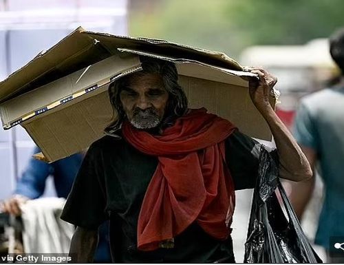 Một người đàn ông che nắng bằng tấm bìa các tông ở New Delhi, Ấn Độ. Ảnh: Getty. 