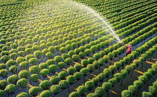 Các QTDND đều tập trung nguồn vốn hỗ trợ nông dân, HTX phát triển sản xuất kinh doanh.