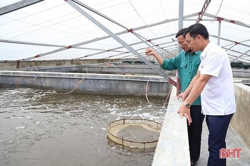  Dư nợ lĩnh vực nông - lâm - thủy sản của ngành Ngân hàng Hà Tĩnh đạt trên 12.403 tỷ đồng. 