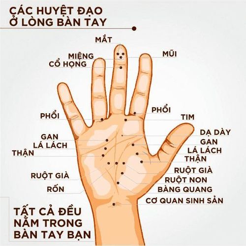 Bản đồ bấm huyệt của các điểm trên bàn tay có thể kích thích các vùng khác trên cơ thể.