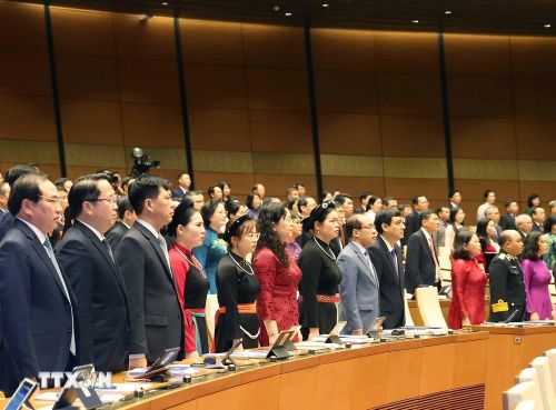  Các đại biểu thực hiện nghi lễ chào cờ. (Ảnh: TTXVN) 