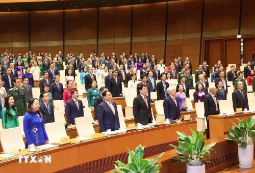  Các đồng chí lãnh đạo, nguyên lãnh đạo Đảng, Nhà nước và đại biểu thực hiện nghi lễ chào cờ. (Ảnh: TTXVN) 