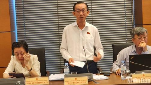 Đại biểu Trần Hoàng Ngân (Đoàn TP Hồ Chí Minh) cho rằng, khối đầu tư dân doanh đang chịu nhiều thách thức lớn. 