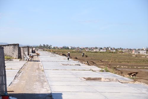 Diêm dân xã Quỳnh Thuận, huyện Quỳnh Lưu, Nghệ An tranh thủ trời nắng để sản xuất muối