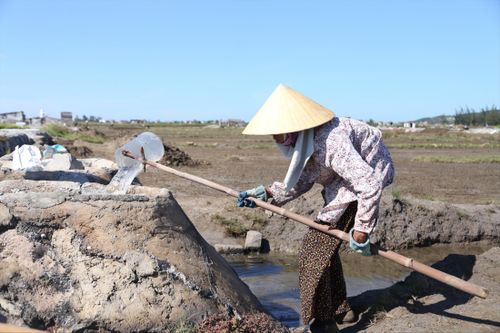 Gần 70 tuổi, lưng đã còng, bà Trần Thị Hòa vẫn bám ruộng làm muối