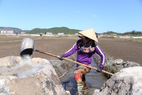 Sản xuất muối vất vả, cực nhọc, thu nhập thấp nên trên những cánh đồng muối chỉ còn người lớn tuổi bám trụ