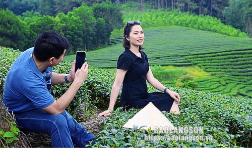 Không chỉ là nơi sản xuất lượng chè lớn của huyện mà những đồi chè đẹp còn là địa điểm check-in từ nhiều góc độ vô cùng lý tưởng dành cho những du khách yêu thiên nhiên, thích trải nghiệm. 