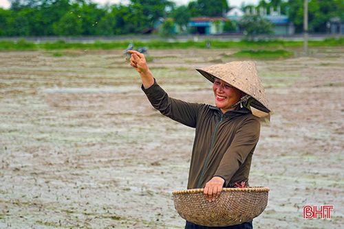  Nông dân thôn Hưng Lộc, xã Cẩm Hưng phấn khởi vì khởi đầu vụ hè thu thuận lợi. 