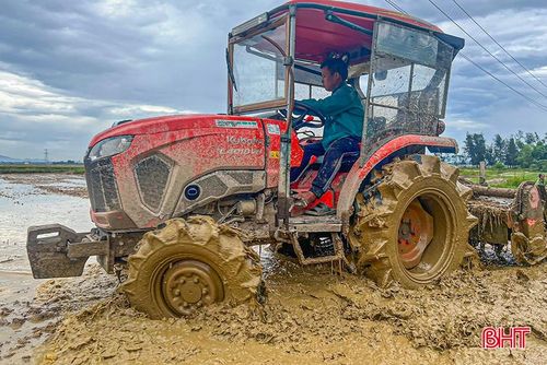  Máy làm đất cỡ lớn được huy động để đẩy nhanh tiến độ. 