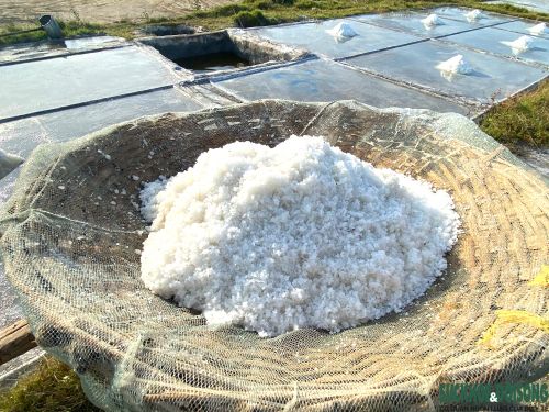 Những thúng muối trắng thu được sau nửa ngày phơi nắng.