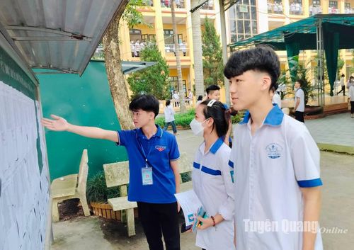  Thí sinh kiểm tra lại số báo danh và phòng thi trước khi vào thi tại điểm thi Trường THPT Tháng 10 (Yên Sơn). Ảnh: Lê Thùy