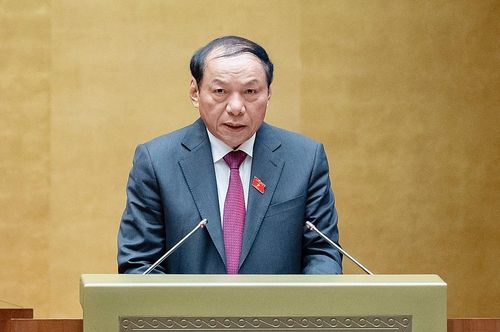 Bộ trưởng Bộ Văn hóa, Thể thao và Du lịch Nguyễn Văn Hùng trình bày Tờ trình về chủ trương đầu tư Chương trình.