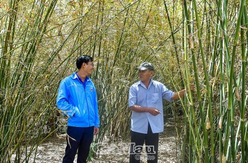 Trưởng ban Công tác Mặt trận Lê Văn Mỹ là tấm gương sáng về tinh thần cống hiến để thế hệ trẻ noi theo.