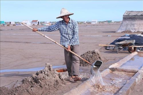 Công đoạn đổ nước để làm muối trên cánh đồng xã Bạch Long.