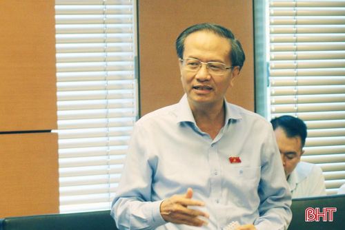 ĐBQH tỉnh Cà Mau Đinh Ngọc Minh - Ủy viên chuyên trách Ủy ban Kinh tế của Quốc hội đóng góp ý kiến.