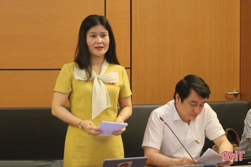 Đại biểu Quốc hội tỉnh Hà Tĩnh - Bùi Thị Quỳnh Thơ - Ủy viên Chuyên trách Ủy ban Kinh tế tham gia thảo luận