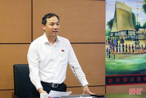 Đồng chí Hoàng Trung Dũng - Bí thư Tỉnh ủy, Trưởng đoàn ĐBQH tỉnh Hà Tĩnh phát biểu kết thúc buổi thảo luận tổ.