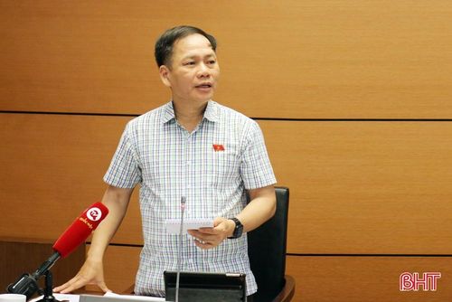 Phó Trưởng đoàn chuyên trách Đoàn ĐBQH Hà Tĩnh - Trần Đình Gia tham gia ý kiến.