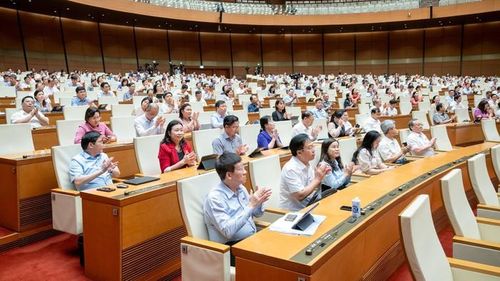 Đại biểu Quốc hội tán thành với Nghị quyết về Chương trình xây dựng luật, pháp lệnh năm 2025, điều chỉnh Chương trình xây dựng luật, pháp lệnh năm 2024