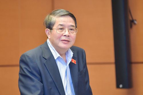 Phó Chủ tịch Quốc hội Nguyễn Đức Hải cho ý kiến với Chương trình mục tiêu quốc gia về phát triển văn hóa giai đoạn 2025 - 2035