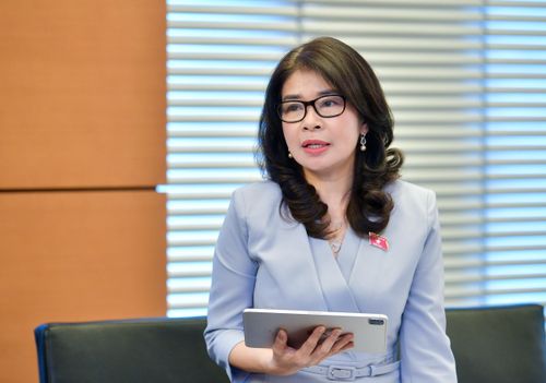 ĐBQH Lê Thu Hà (Lào Cai) phát biểu tại tổ
