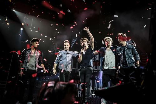 One Direction dừng hoạt động vào năm 2016. 