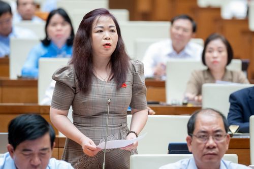 ĐBQH Vũ Thị Lưu Mai.