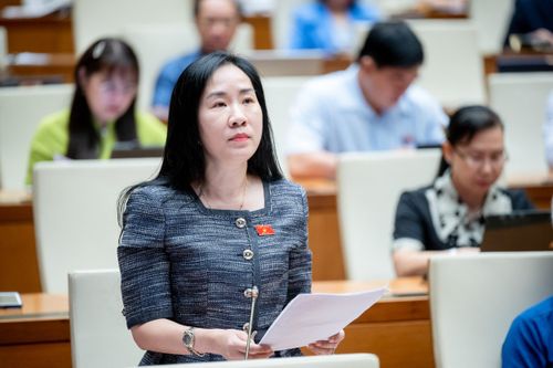 ĐBQH Đoàn Thị Thanh Mai.