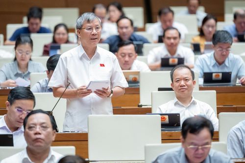 Đại biểu Nguyễn Anh Trí (Đoàn Hà Nội) thảo luận. Ảnh: media.quochoi.vn.