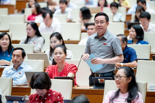 Đại biểu Nguyễn Văn Huy (Đoàn Thái Bình) phát biểu tại phiên họp. Ảnh: media.quochoi.vn.